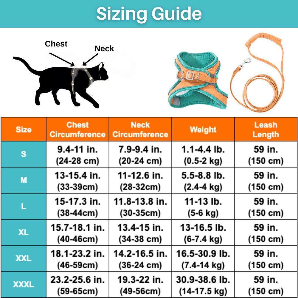 Cat Harness - Oscar