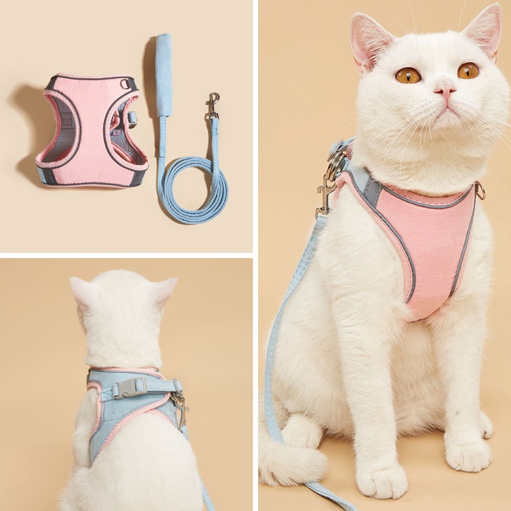 Cat Harness - Oscar