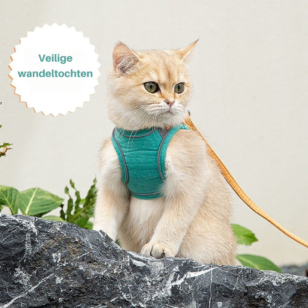 Cat Harness - Oscar