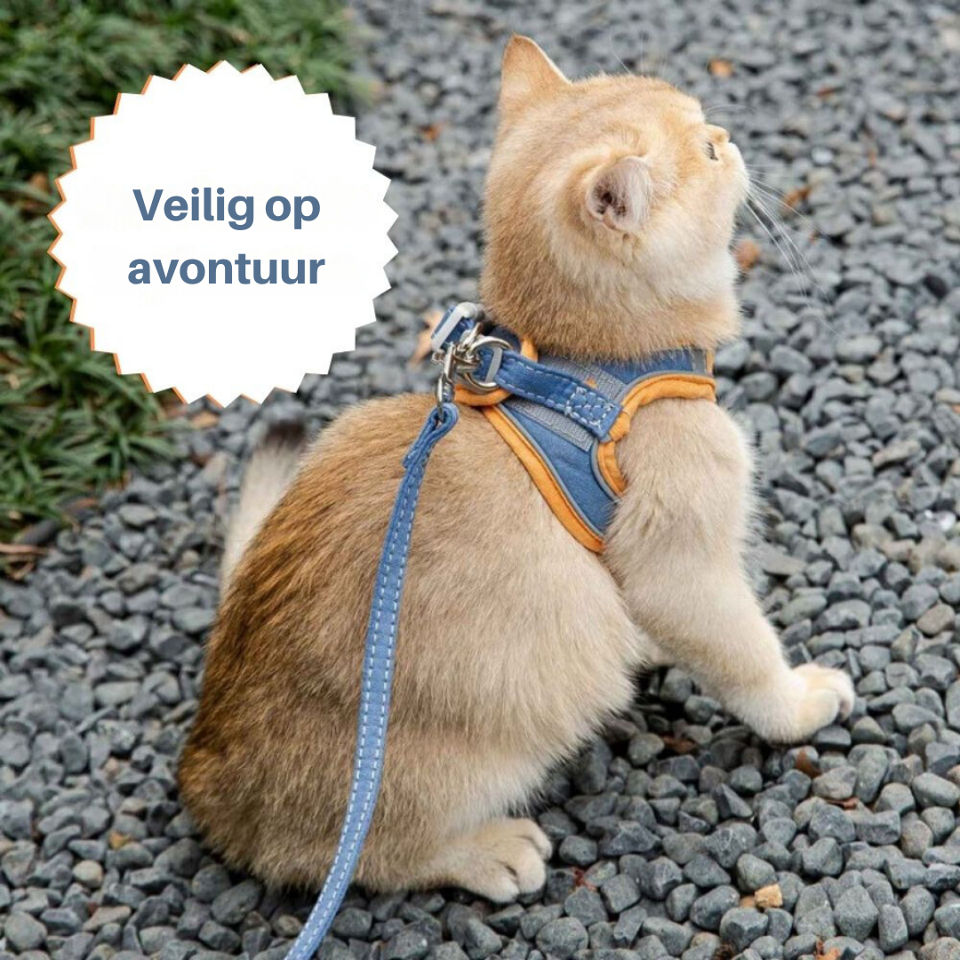 Cat Harness - Oscar