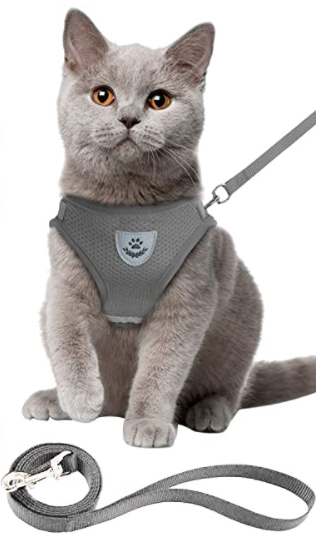 Cat Harness with Leash - AdventureKit