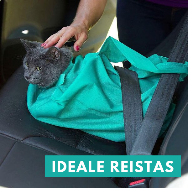 Cat Travel Bag for Comfortable Transport (Buy 1, Get 1 Free) - PurrPorter