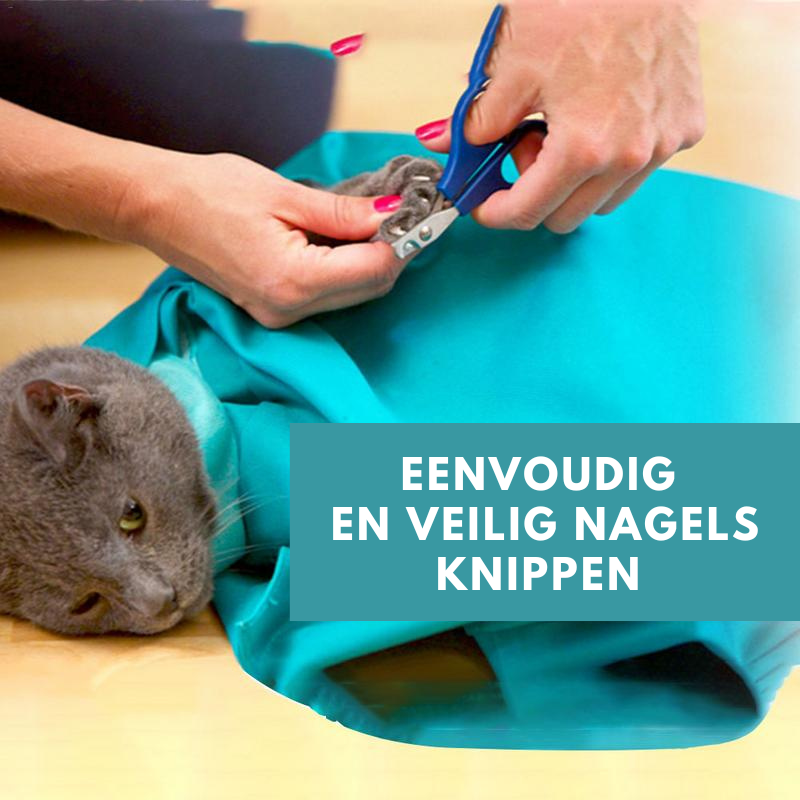 Cat Travel Bag for Comfortable Transport (Buy 1, Get 1 Free) - PurrPorter