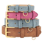 Pup Collar