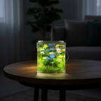 LED Butterfly Garden Cube Night Light Decor