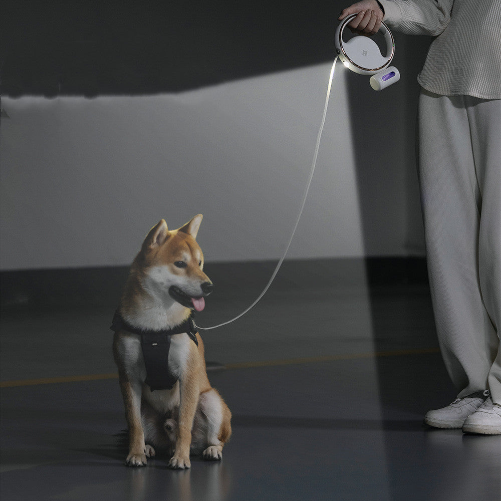 Bright lighting increases visibility after dark!