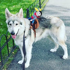 The Cowboy Rider Dog Costume