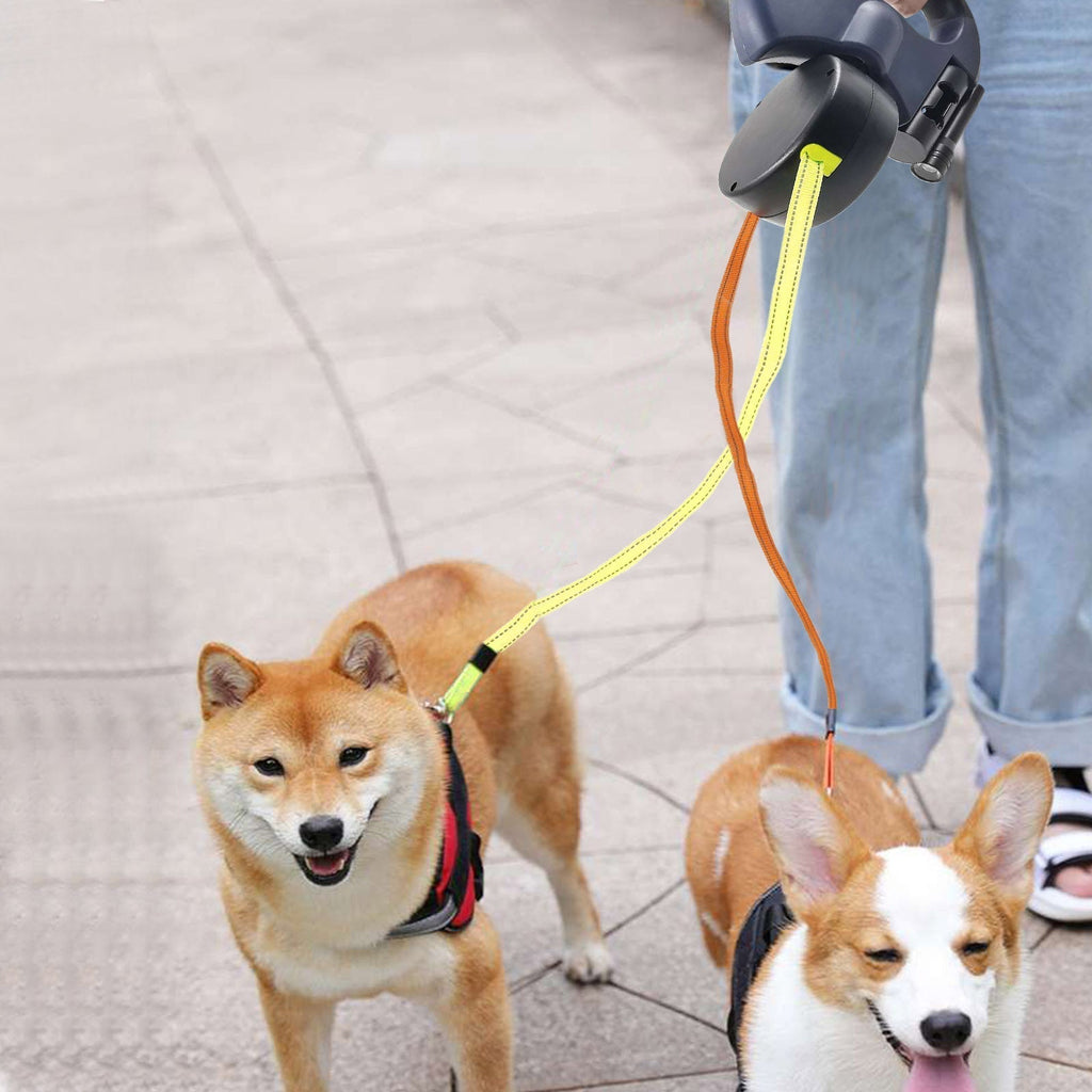 The Ultimate Solution for Dogs