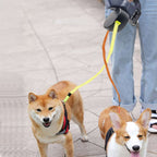 The Ultimate Solution for Dogs