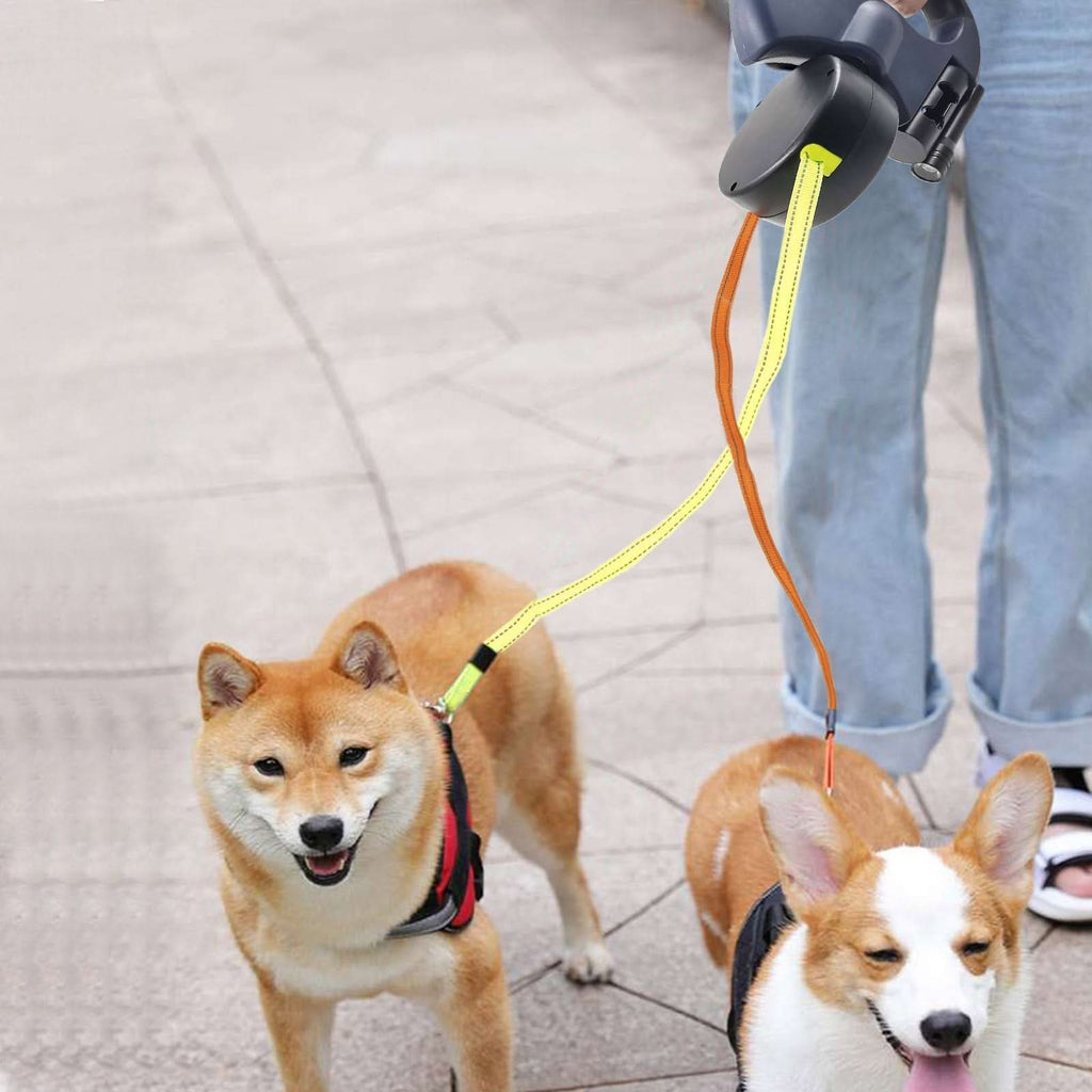 Rolling lead for two dogs with integrated torch