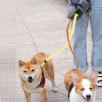Rolling lead for two dogs with integrated torch