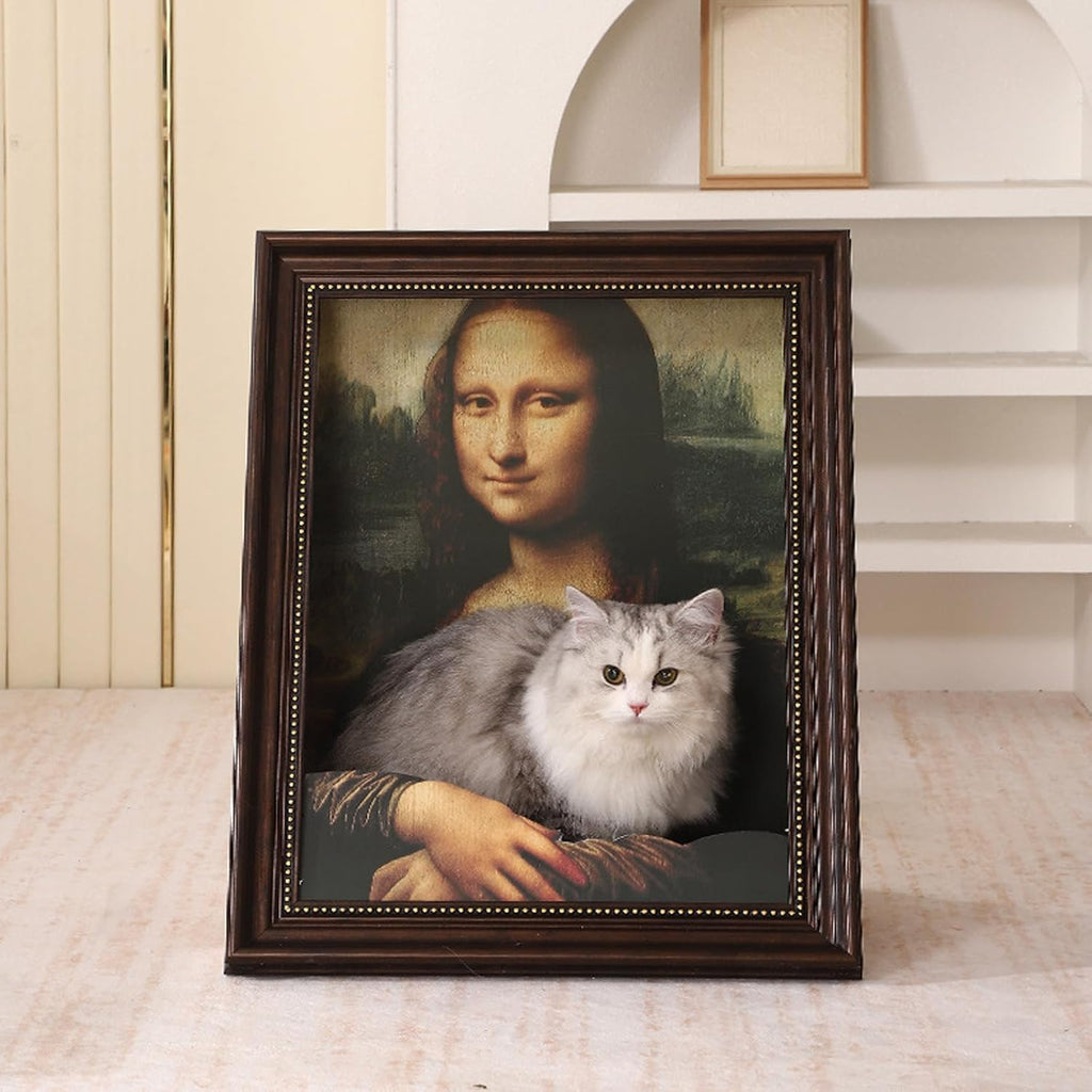 CatCanvas Comfort Meets Playtime