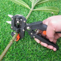 SécateurPro | Bloom your garden with passion