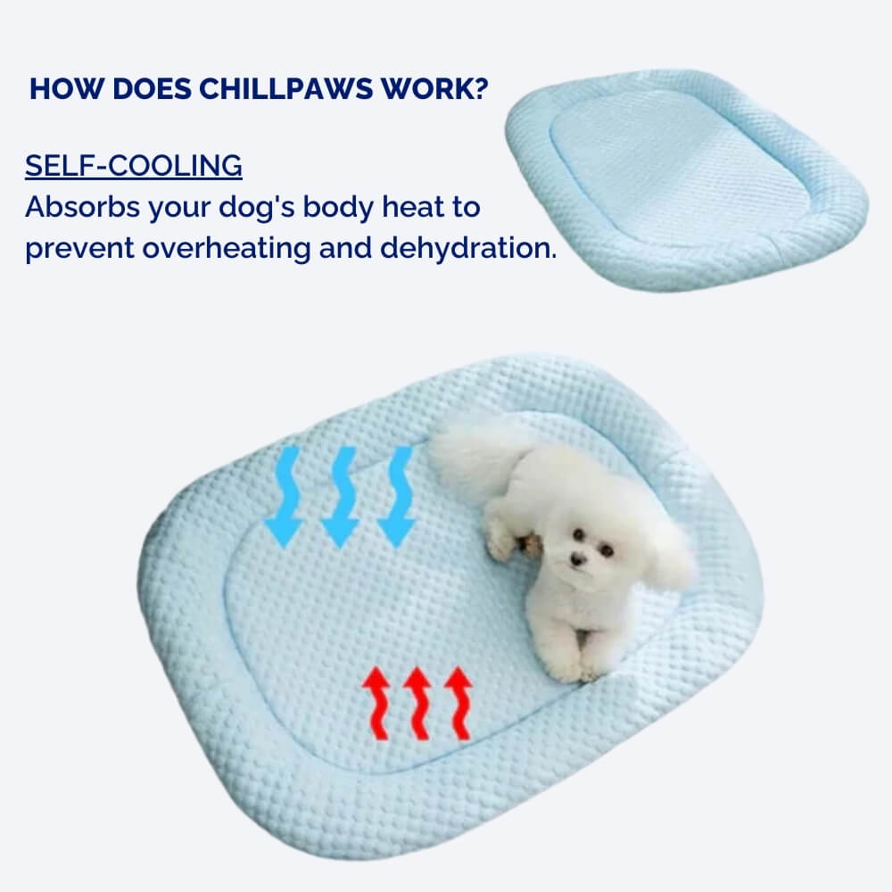 ChillPaws - Cooling Dog Bed