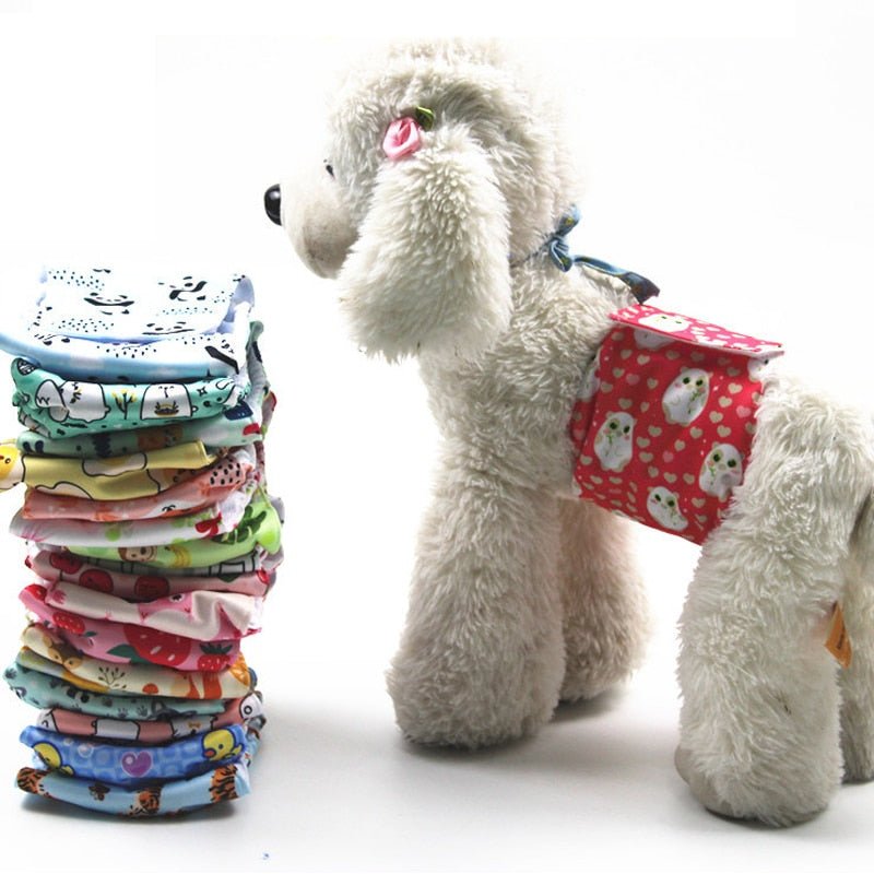 PUPDRY Reusable – Leak-Proof Diaper for Incontinence and Training