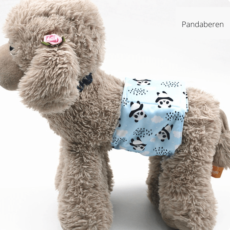 PUPDRY Reusable – Leak-Proof Diaper for Incontinence and Training