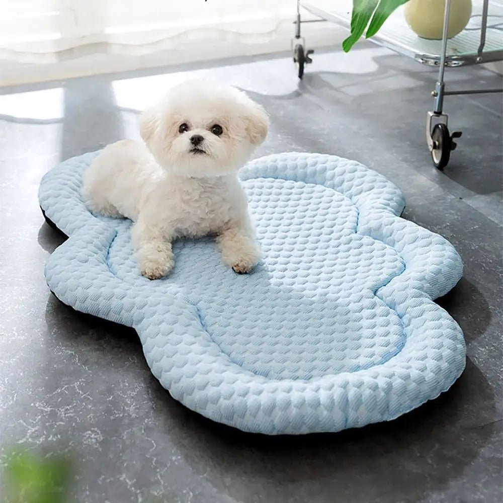 CLOUDCOOL – Breathable Cooling Mat for Dogs on Hot Days