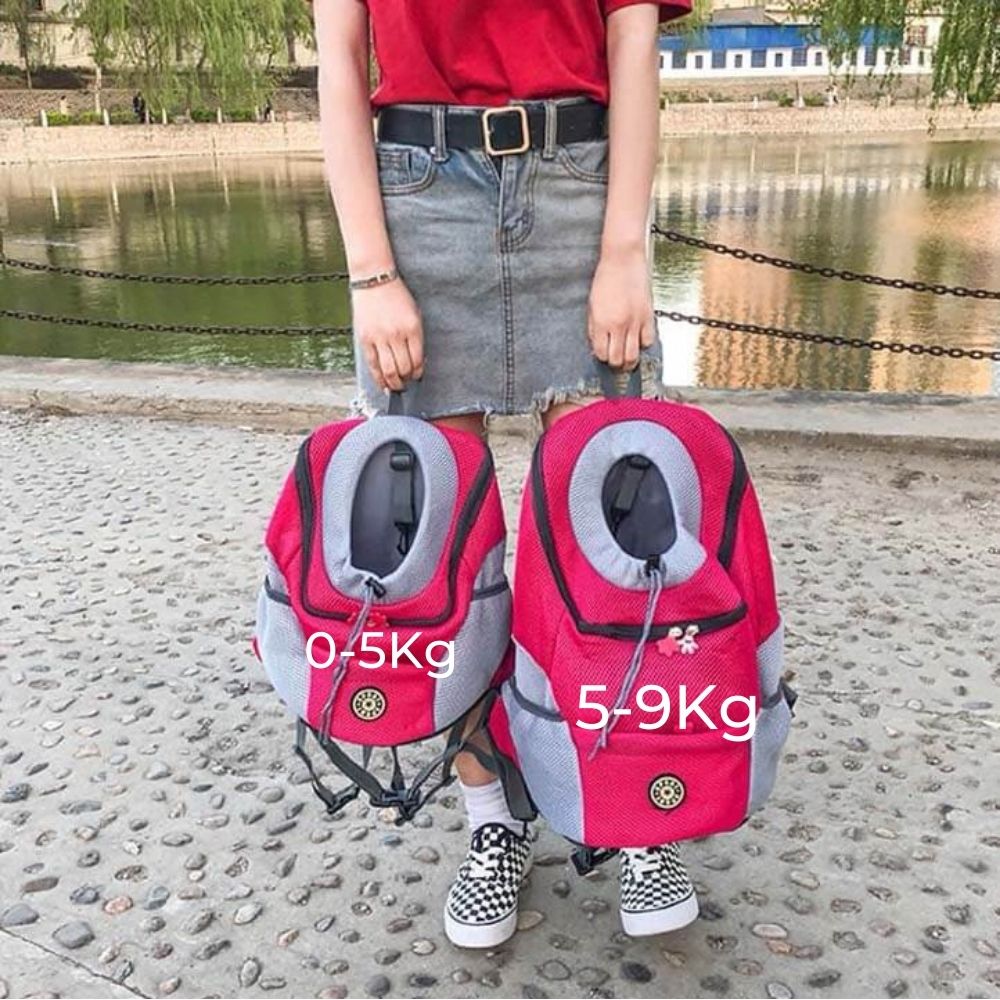 Comfortable and Safe Dog Backpack - BuddyPack