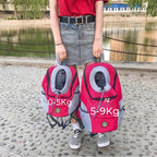 Comfortable and Safe Dog Backpack - BuddyPack