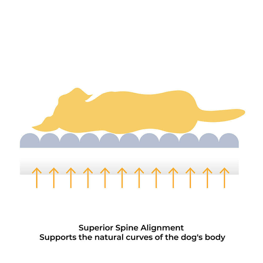 Comfortable Dog Bed - CheesecakeComfort Bed