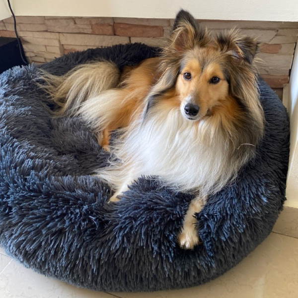 Dog Bed Plush Orthopaedic Calming Pet Cushion