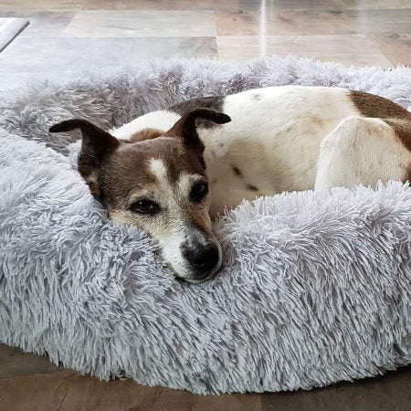 Dog Bed Plush Orthopaedic Calming Pet Cushion