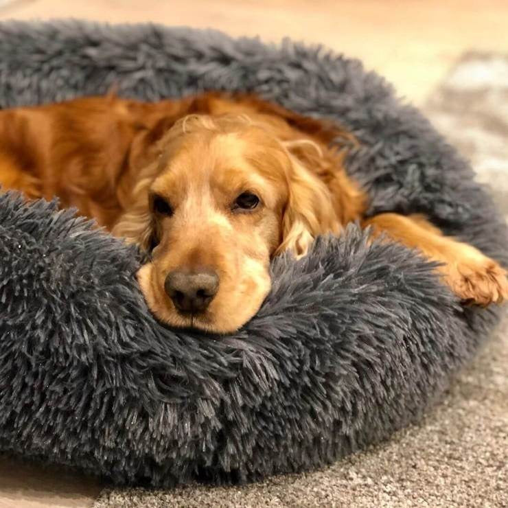 Dog Bed Plush Orthopaedic Calming Pet Cushion