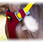 ComfortFit - No Pull Dog Harness