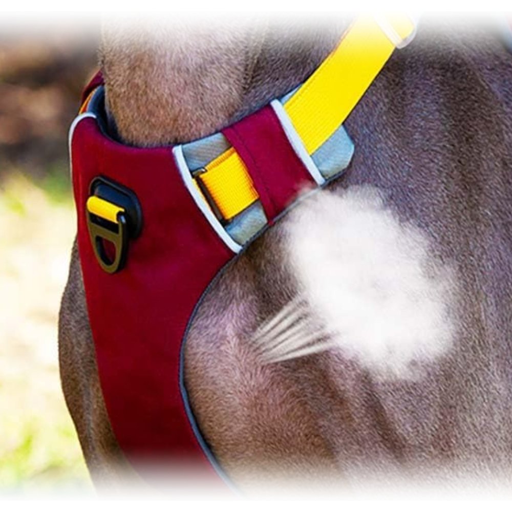 ComfortFit - No Pull Dog Harness