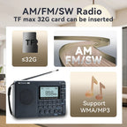Compact Portable Radio - EchoWave