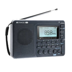 Compact Portable Radio - EchoWave