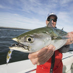 Conjoined Fish Lure