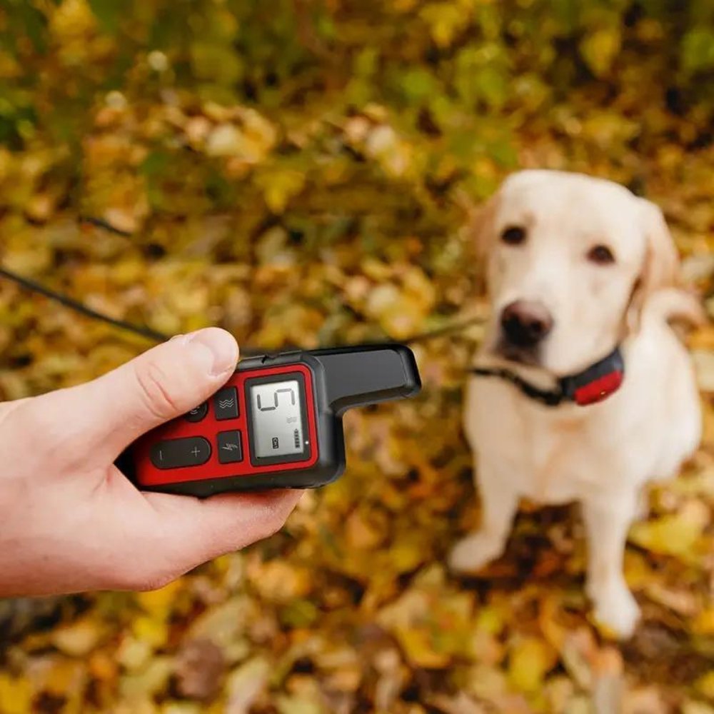 ControlPro - Dog Training Collar