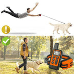 ControlPro - Dog Training Collar
