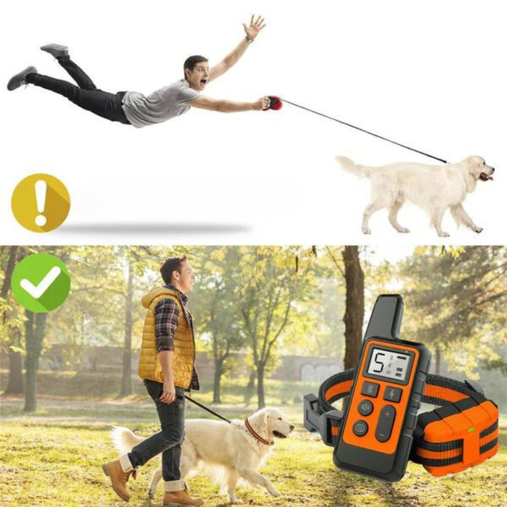 ControlPro - Dog Training Collar