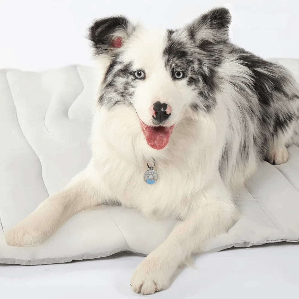 CoolPaws Cooling Mat – Self-Cooling Dog Mat for Hot Summer Relief