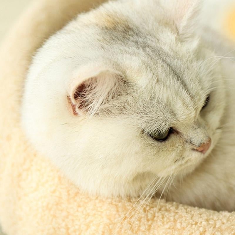 COSYCAT Retreat – Stylish Cat Bed with Sisal Scratch Surface & Cushion