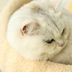 COSYCAT Retreat – Stylish Cat Bed with Sisal Scratch Surface & Cushion