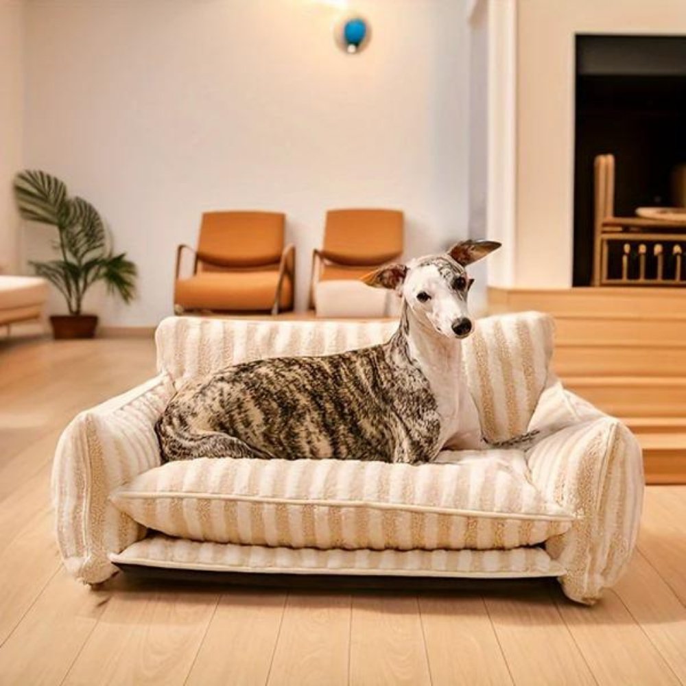 CozyCouch - Calming Dog Sofa