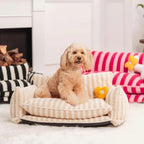 CozyCouch - Calming Dog Sofa