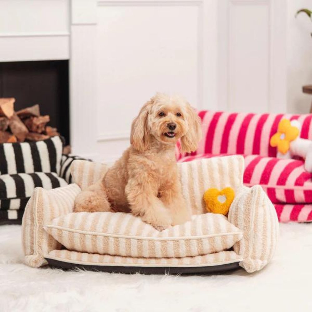 CozyCouch - Calming Dog Sofa