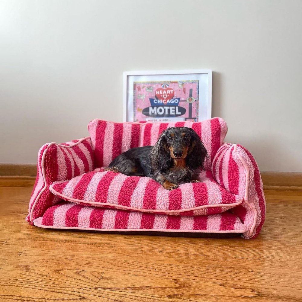 CozyCouch - Calming Dog Sofa