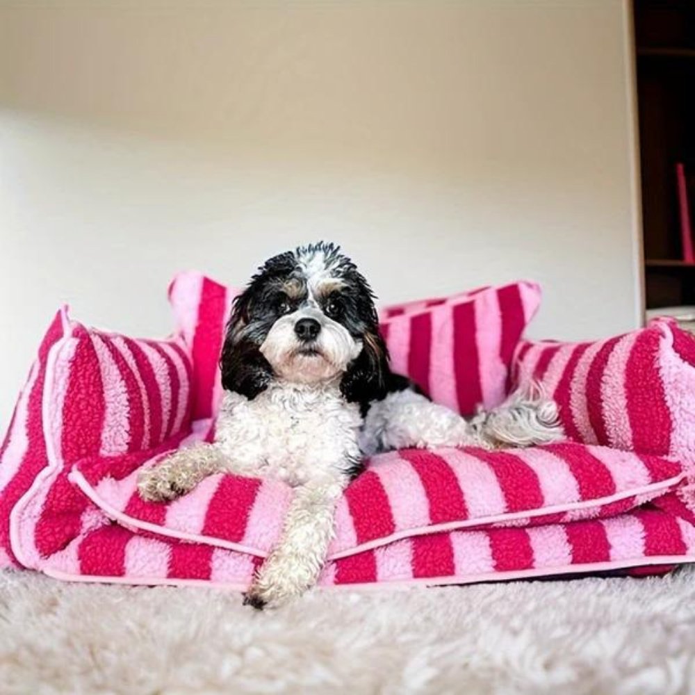 CozyCouch - Calming Dog Sofa