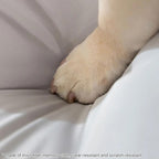 CozyGuard - Waterproof & Comfortable Dog Bed