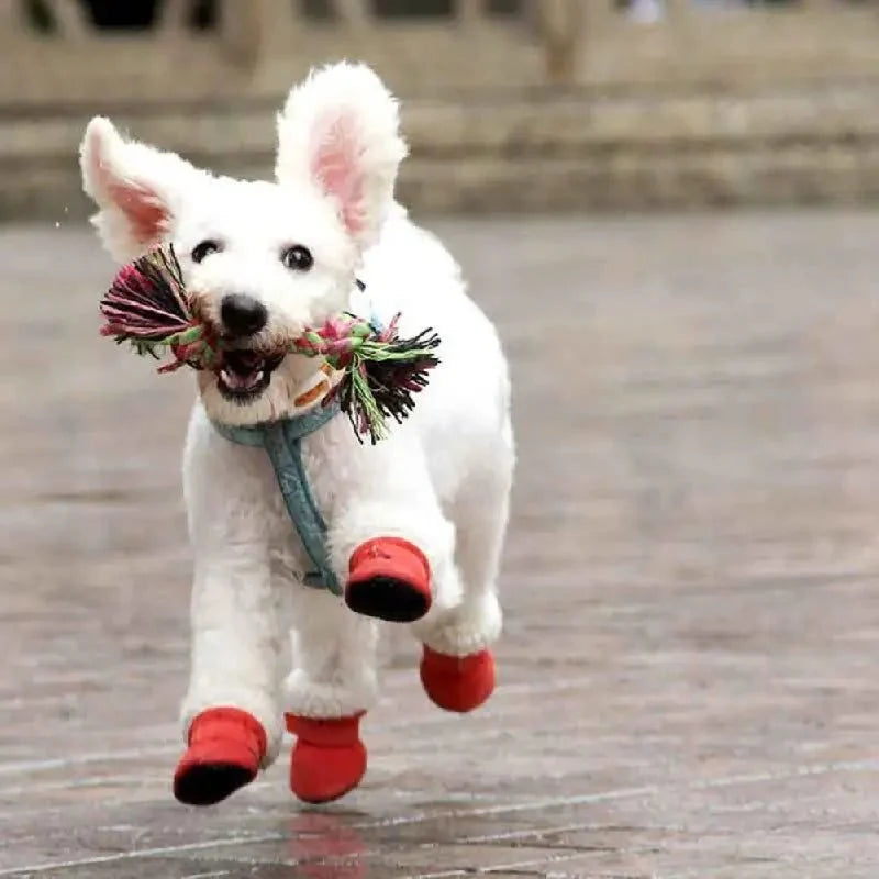 CozyPaws - Dog Waterproof Boots