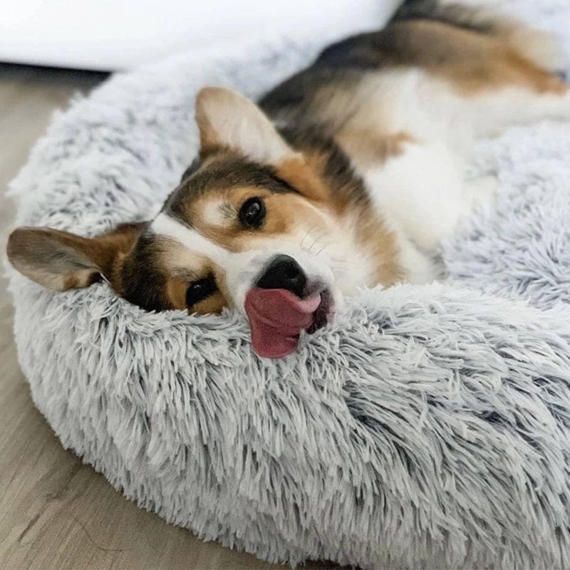 COZYPET – Calming Dog Bed with Plush Faux Fur & Removable Cover