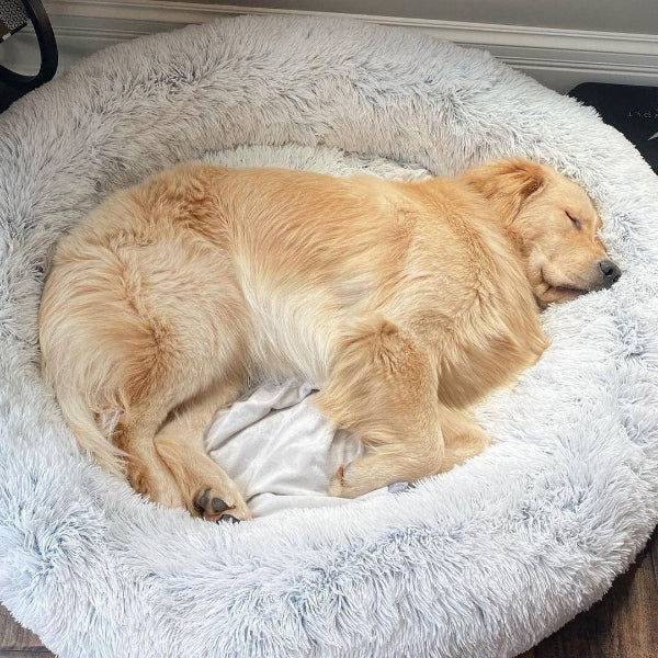COZYPET – Calming Dog Bed with Plush Faux Fur & Removable Cover