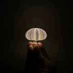 Table Lamp Mini Sea Urchin Shell Light