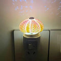 Table Lamp Mini Sea Urchin Shell Light