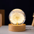 Floralis Crystal Ball Lamp | 3D Flower Design | Dandelion & Daisy | USB Wooden Base